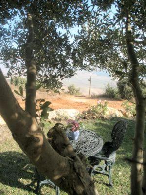 Appartamento Casa de Gili'z Hararit Esterno foto